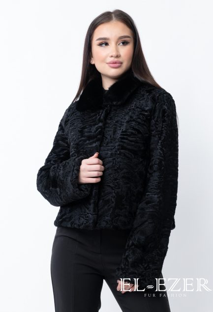 Каракульча (МОД-003К)