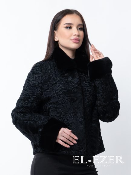 Каракульча (МОД-004К)